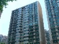 2011-10619